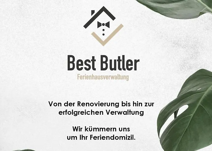 Apartament Butler Jungle - - Netflix - Big Box *